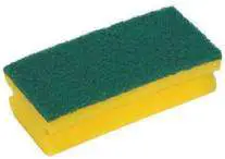 A sponge with scourer